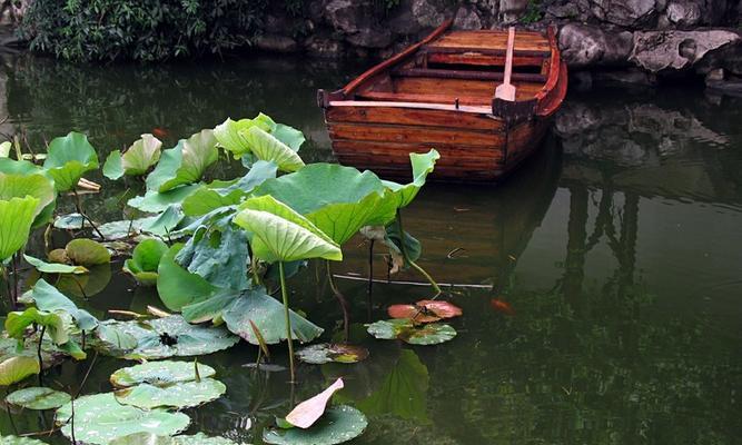 佳能相机如何捕捉雨点效果？拍摄雨景有哪些技巧？