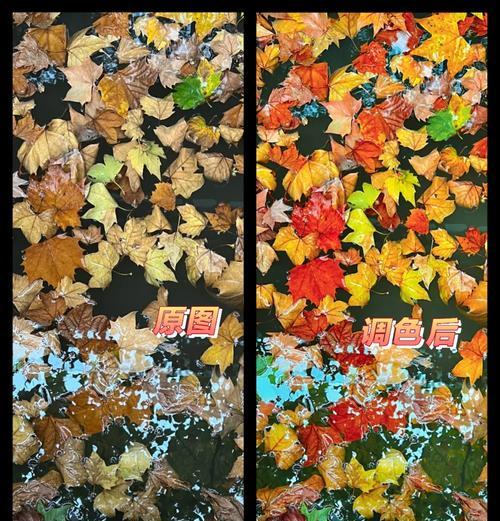 手机摄像头调色功能如何使用？调色时应该注意哪些事项？