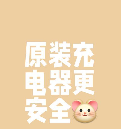 带尖尖的手机充电器名称是什么？