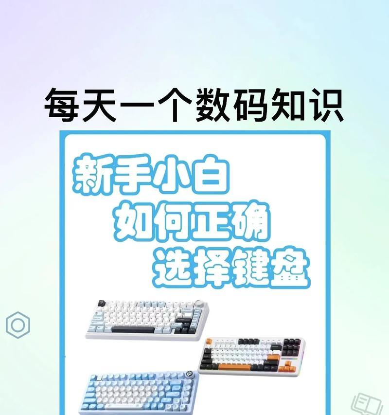 新手键盘的用途是什么？如何正确使用？