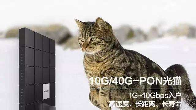 铜猫液冷散热器性能如何？使用中应注意什么？