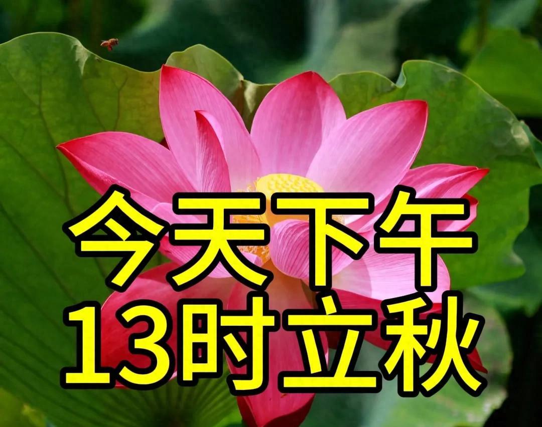 不是迷信！今天13时立秋，“最旺”自己的5件事，别忘告诉身边人
