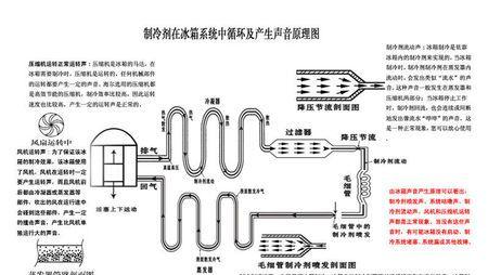 冰箱噪音小修复方法大揭秘（以轻松解决你的冰箱声音问题）